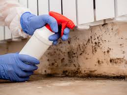 Best Emergency Mold Remediation  in Bayshe, OR